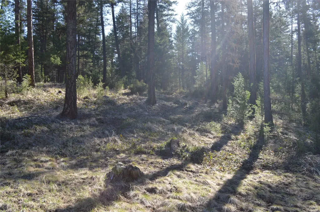 772 Rifle Range Road Whitefish MT 59937