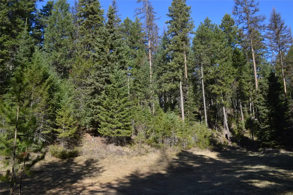 772 Rifle Range Road Whitefish MT 59937