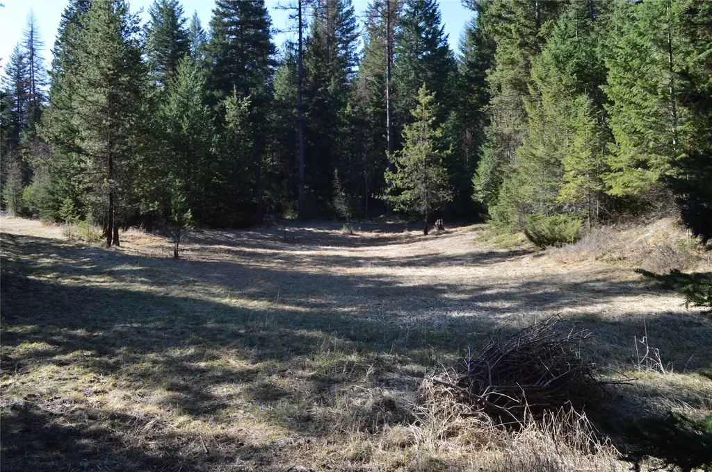 772 Rifle Range Road Whitefish MT 59937