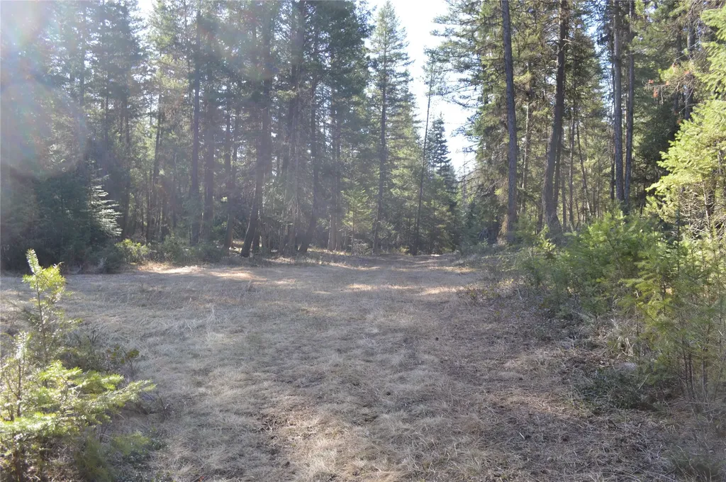 772 Rifle Range Road Whitefish MT 59937