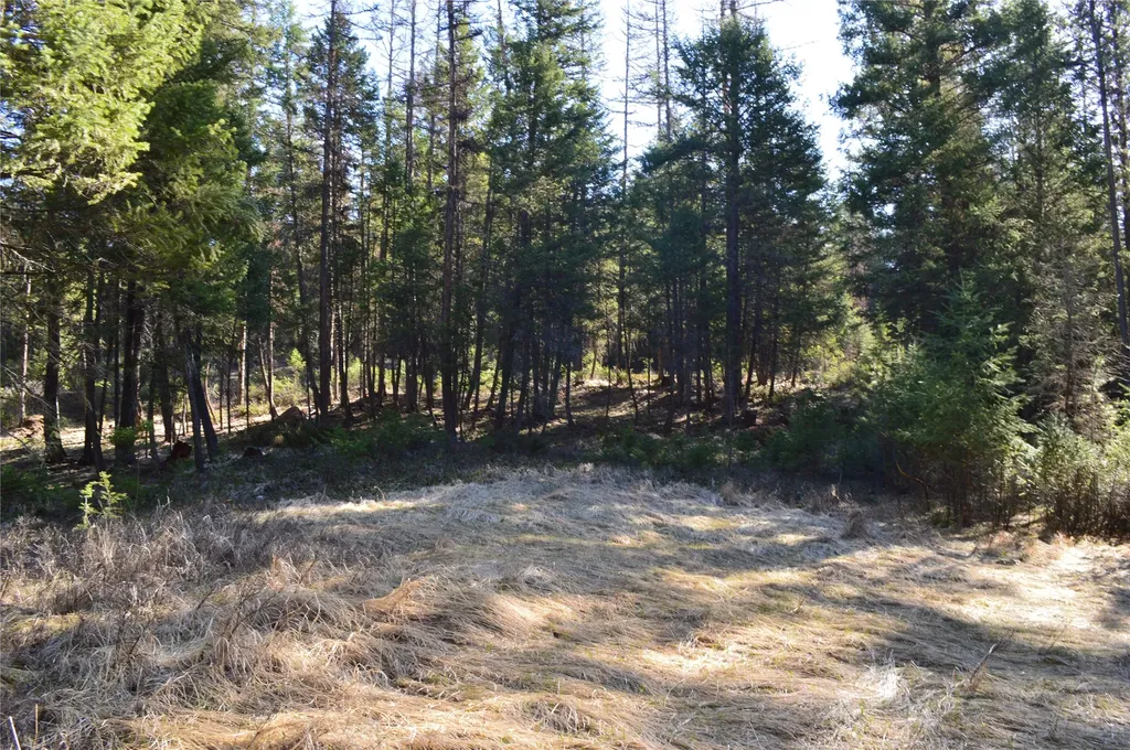 772 Rifle Range Road Whitefish MT 59937