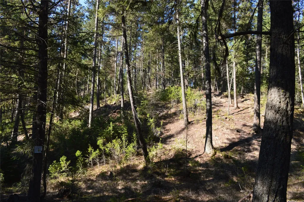772 Rifle Range Road Whitefish MT 59937