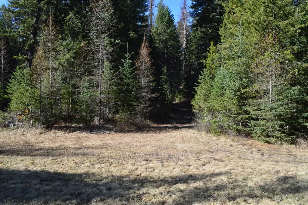 772 Rifle Range Road Whitefish MT 59937