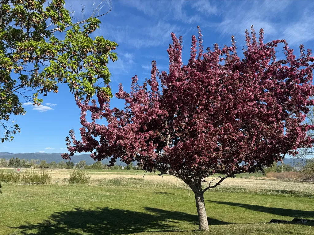 444 Windwalker Trail Stevensville MT 59870