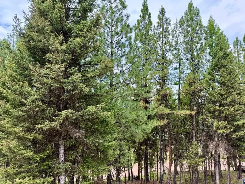 1180 Grandview Drive Seeley Lake MT 59868