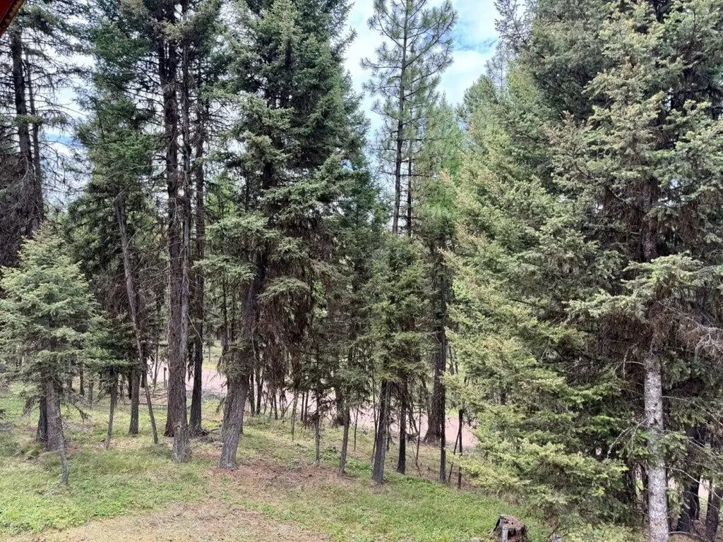 1180 Grandview Drive Seeley Lake MT 59868