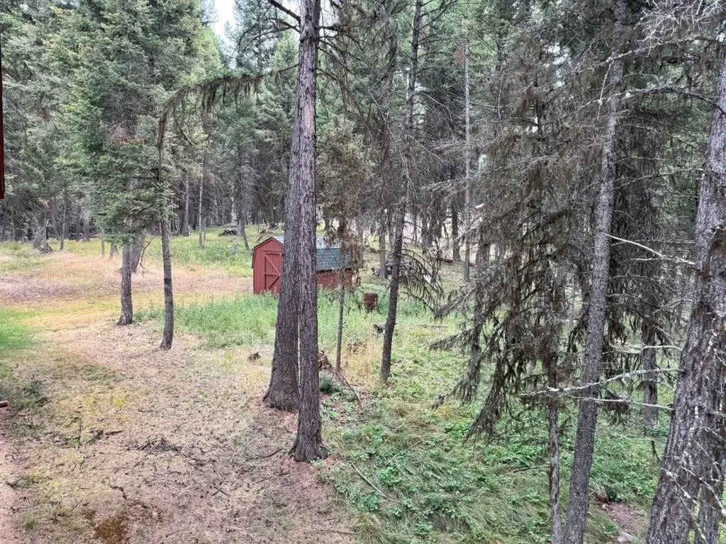 1180 Grandview Drive Seeley Lake MT 59868