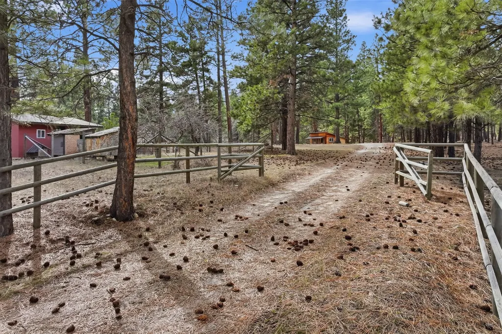 390 N Gold Creek Loop Hamilton MT 59840