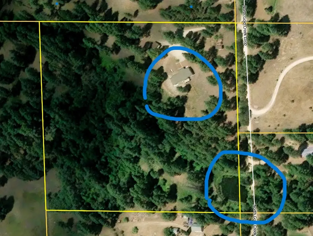 390 N Gold Creek Loop Hamilton MT 59840