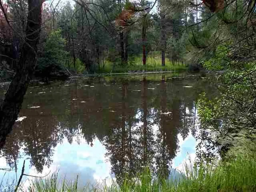 390 N Gold Creek Loop Hamilton MT 59840
