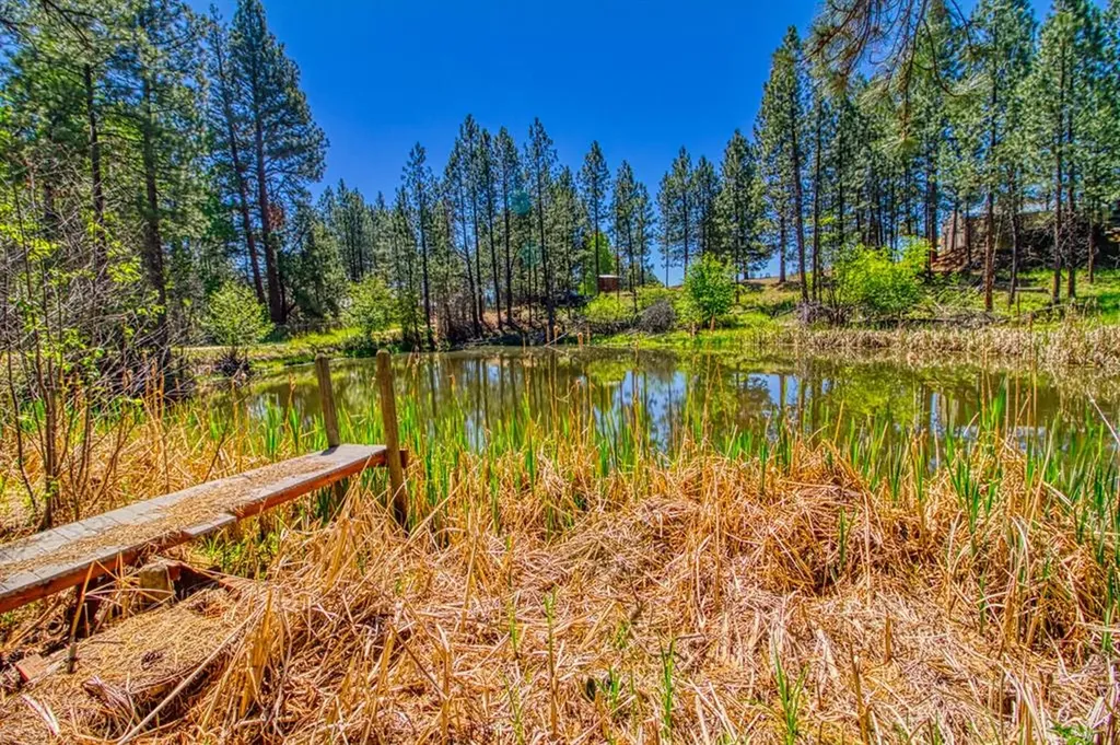 390 N Gold Creek Loop Hamilton MT 59840