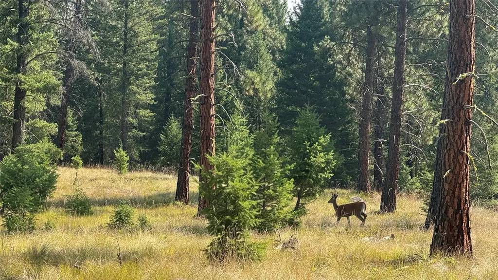 Nhn Highway 37 Libby MT 59923