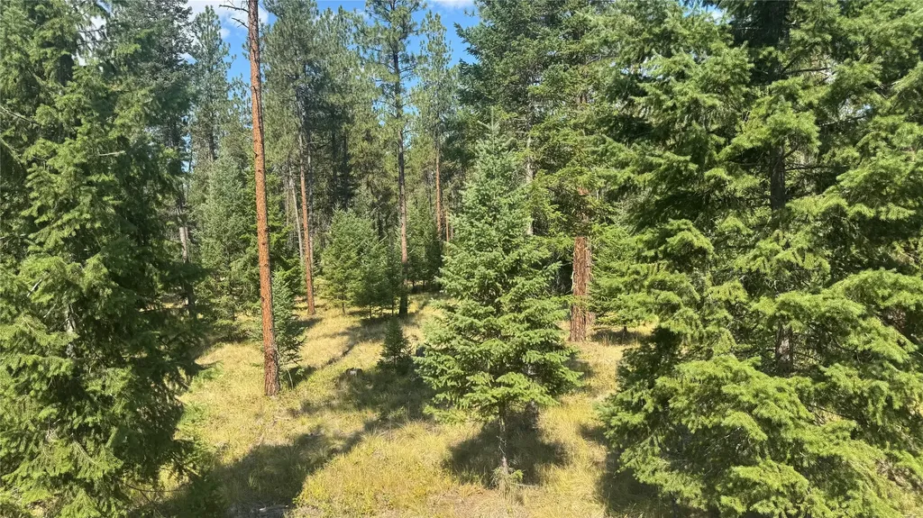 Nhn Highway 37 Libby MT 59923