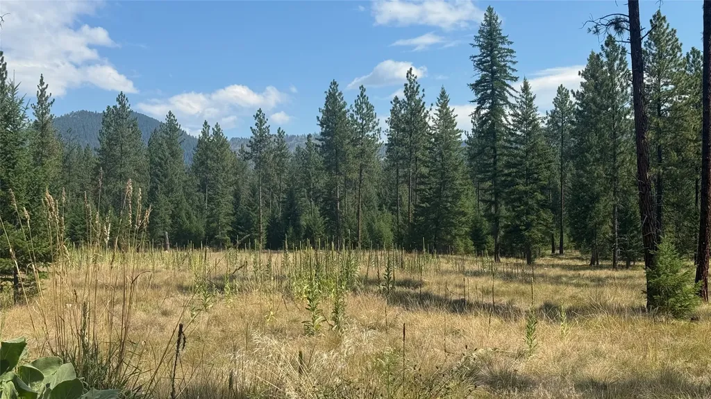 Nhn Highway 37 Libby MT 59923
