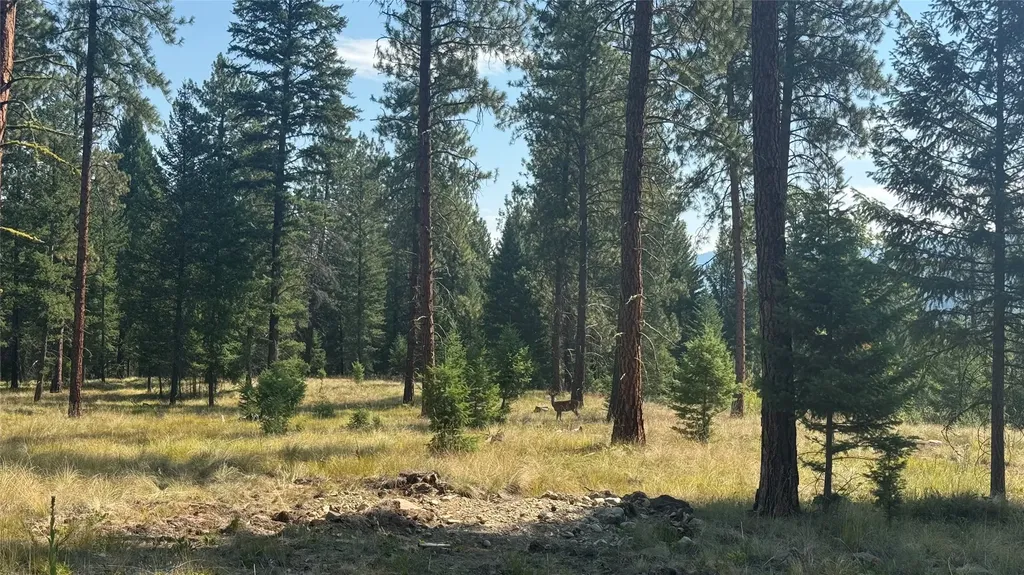 Nhn Highway 37 Libby MT 59923