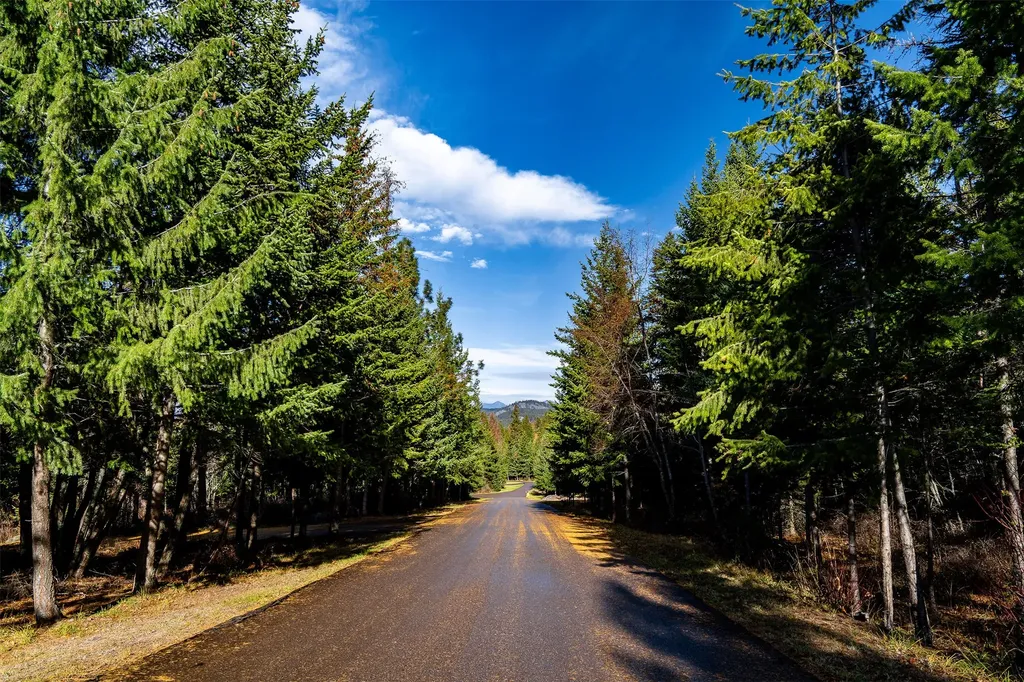 Nhn Elkridge Drive Bigfork MT 59911