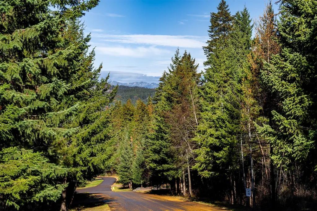 Nhn Elkridge Drive Bigfork MT 59911