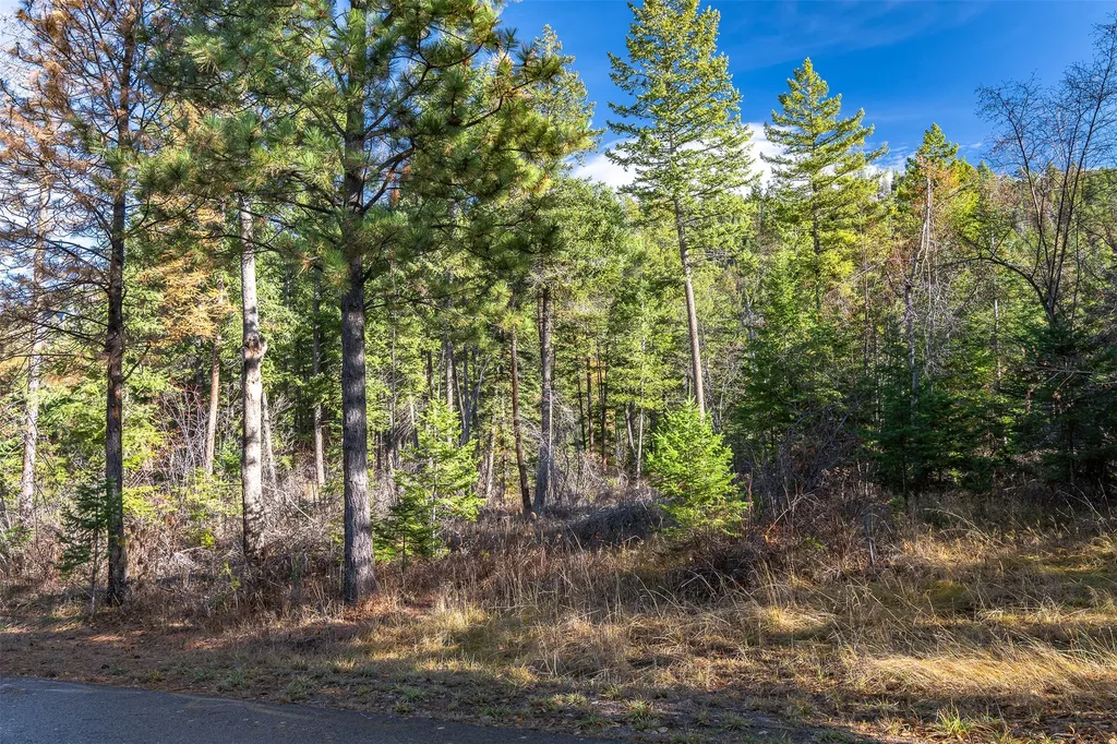 Nhn Elkridge Drive Bigfork MT 59911