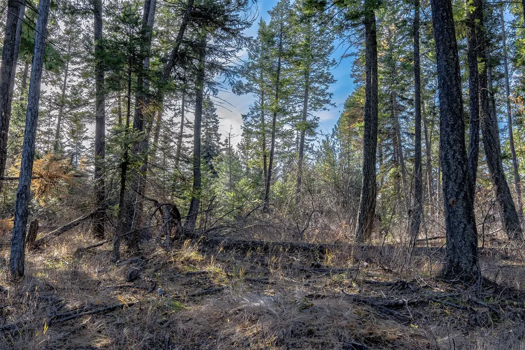 Nhn Elkridge Drive Bigfork MT 59911