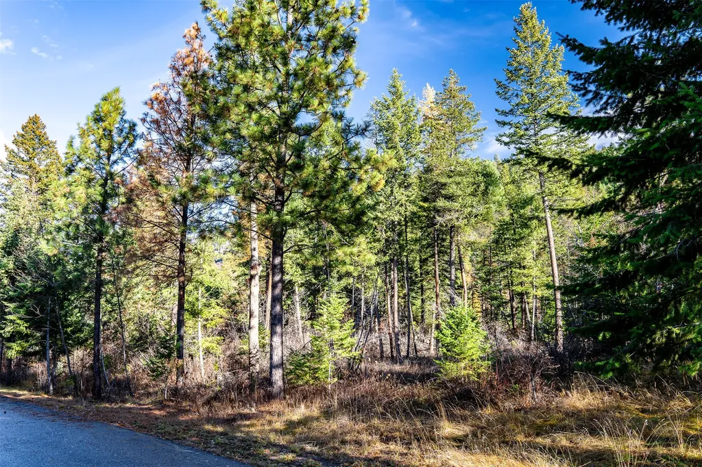 Nhn Elkridge Drive Bigfork MT 59911