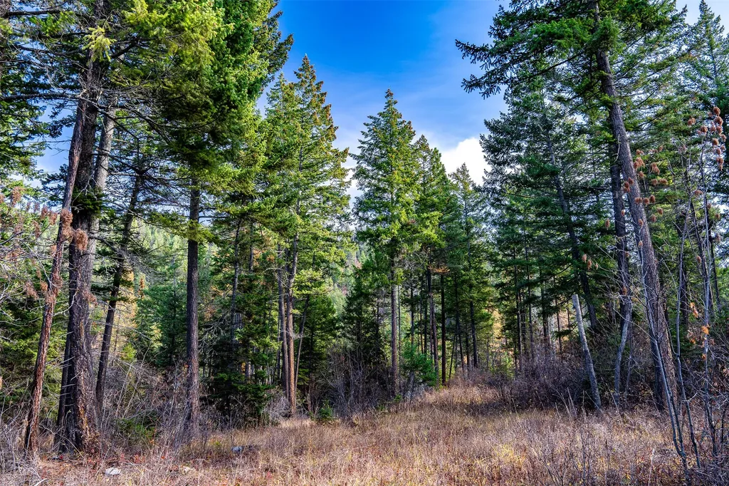 Nhn Elkridge Drive Bigfork MT 59911