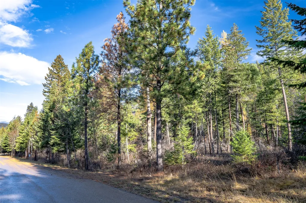 Nhn Elkridge Drive Bigfork MT 59911