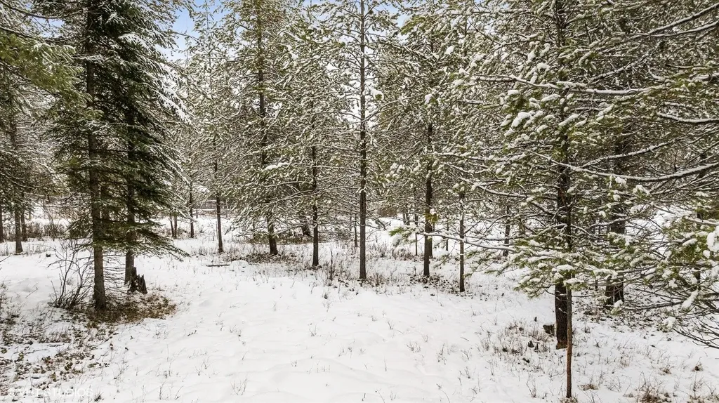 Lot 3 Moose Farm Fortine MT 59918