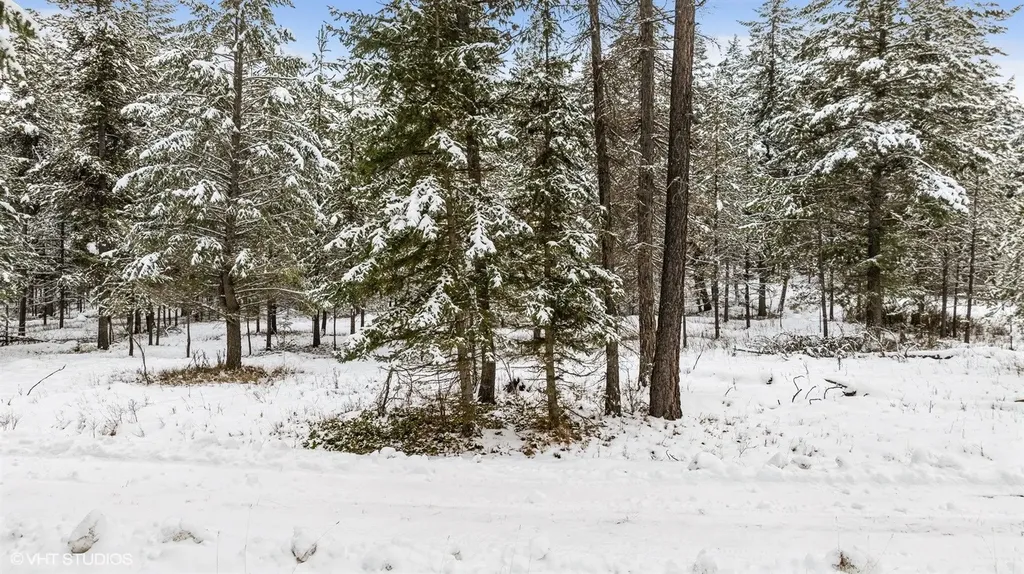 Lot 3 Moose Farm Fortine MT 59918