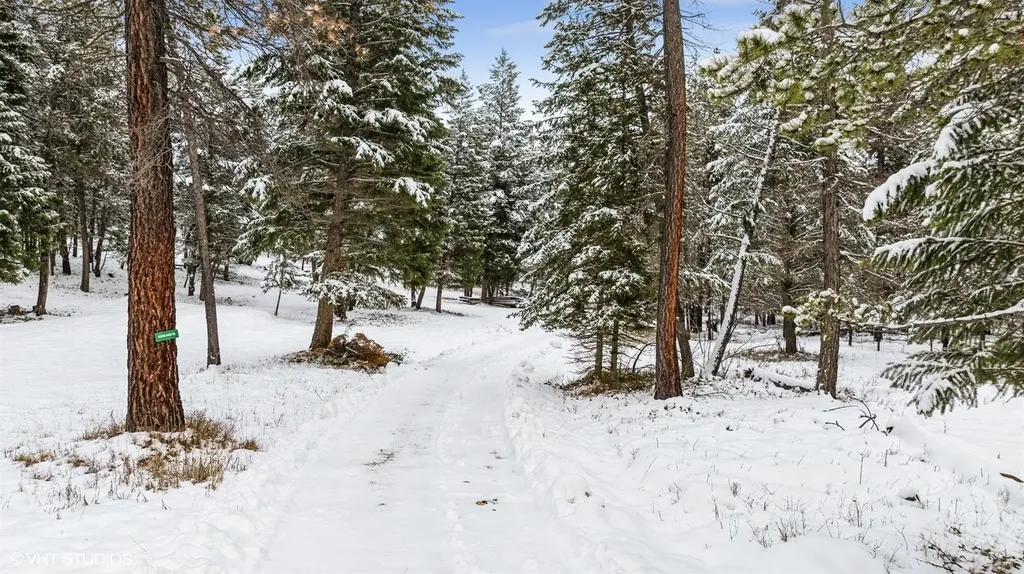 Lot 3 Moose Farm Fortine MT 59918