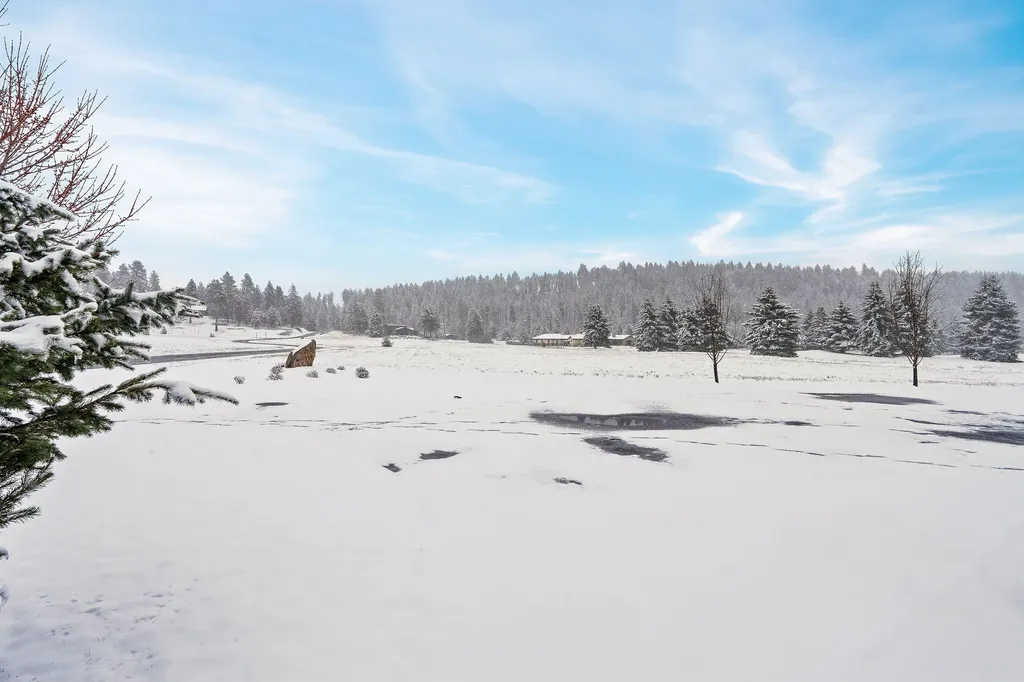 1334 Ponderosa Ridge Drive Bigfork MT 59911