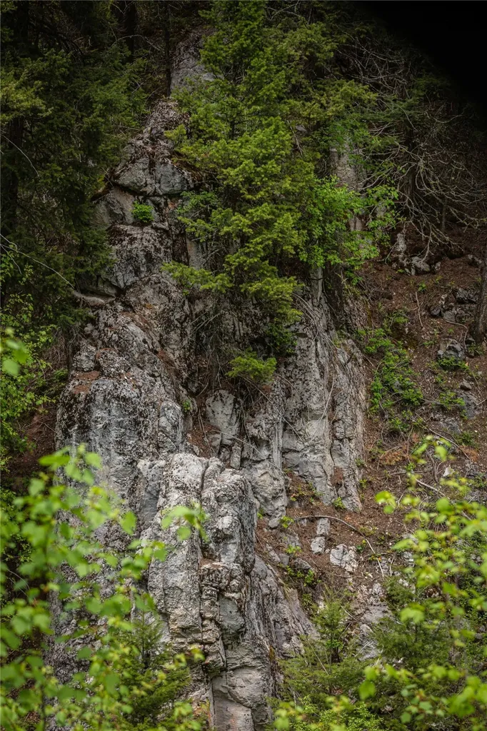 Tract 4,5,6,7 Garnet Range Drummond MT 59832