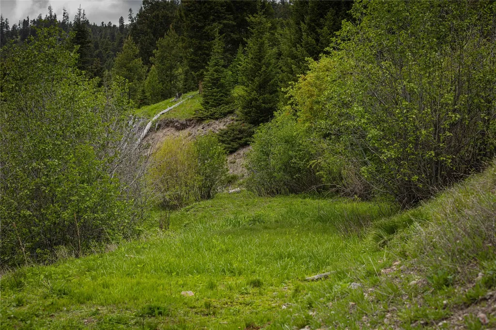 Tract 4,5,6,7 Garnet Range Drummond MT 59832