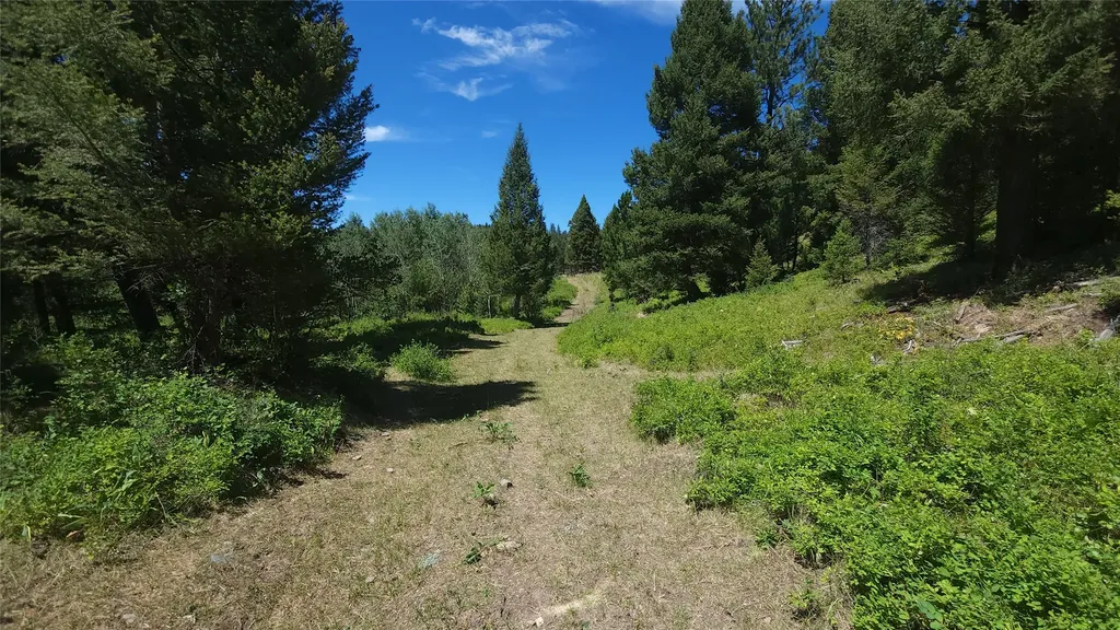 Tract 8,9,10 Garnet Range Drummond MT 59832
