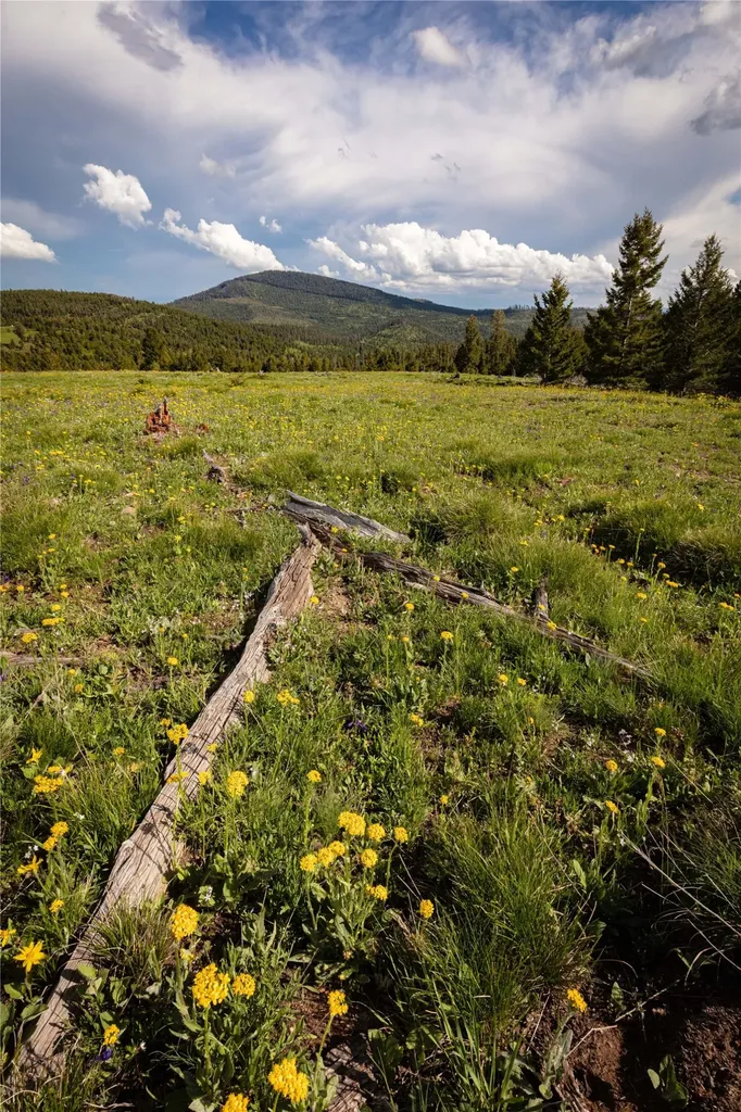 Tract 8,9,10 Garnet Range Drummond MT 59832