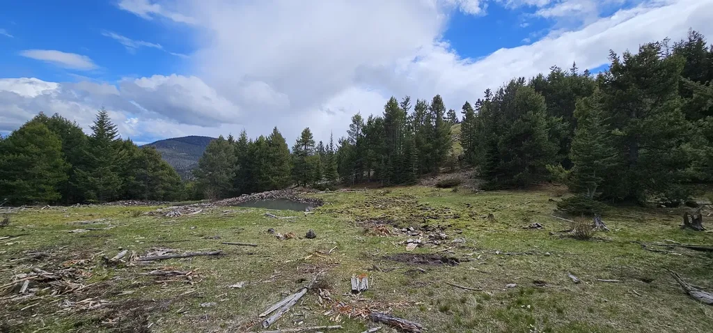 Tract 8,9,10 Garnet Range Drummond MT 59832