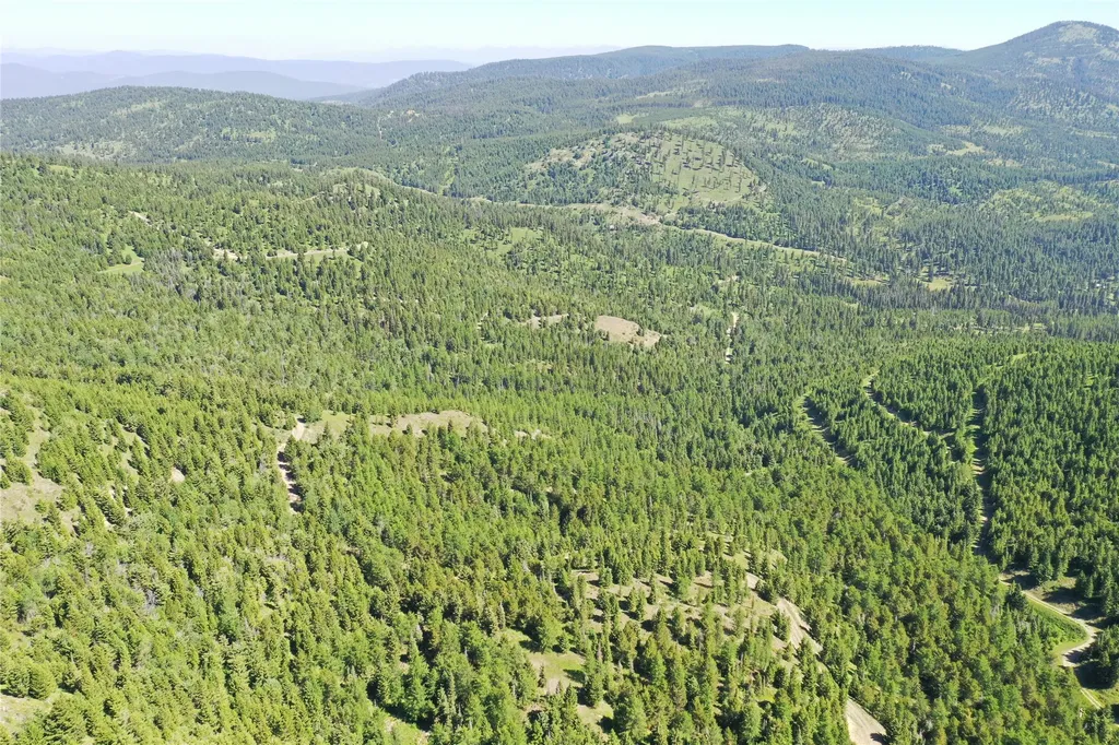 Tract 8,9,10 Garnet Range Drummond MT 59832