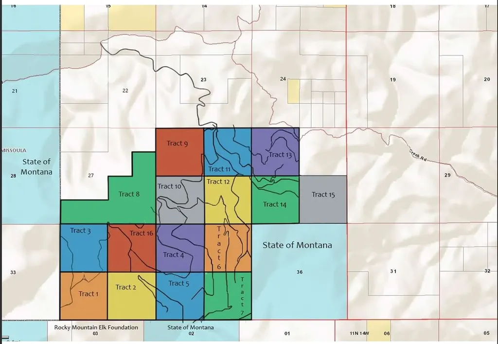 Tract 8,9,10 Garnet Range Drummond MT 59832
