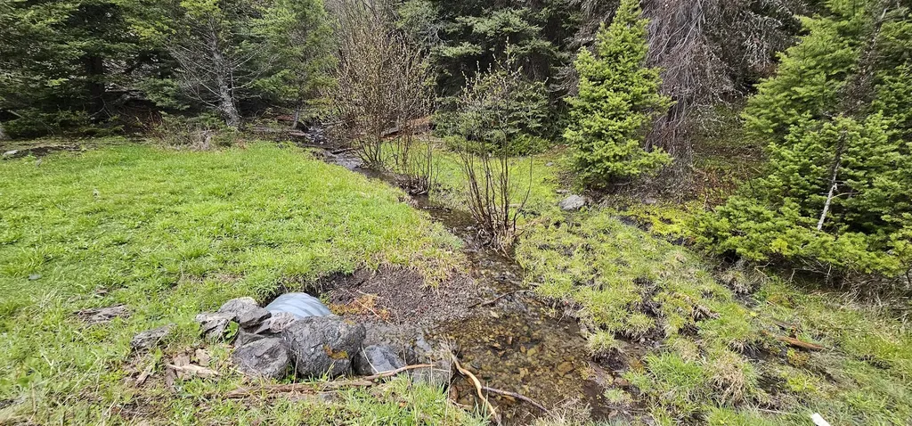 Tract 8,9,10 Garnet Range Drummond MT 59832
