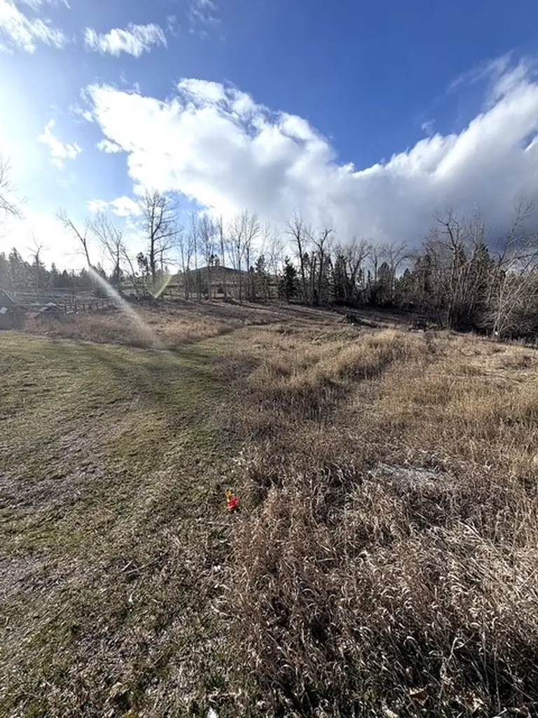 12326 Nature Court Lolo MT 59847