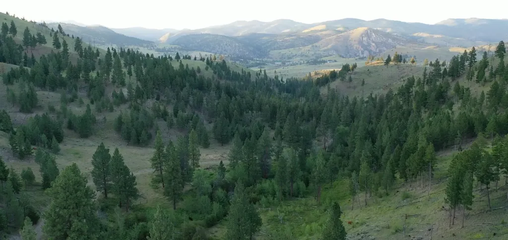 1 Tract, Bull Elk Drummond MT 59832