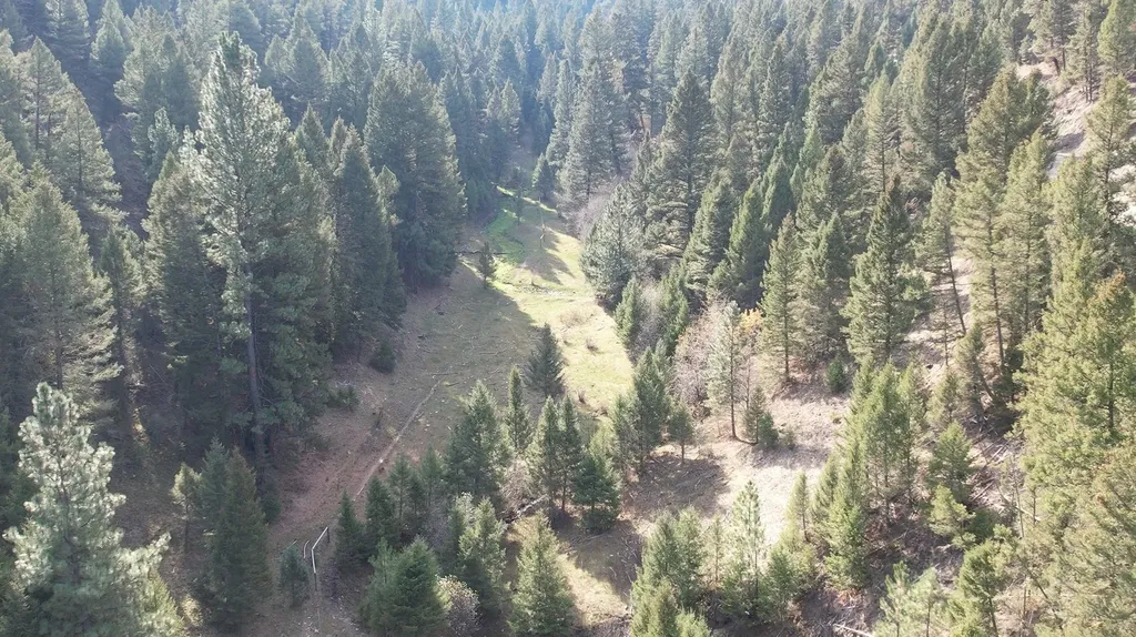 1 Tract, Bull Elk Drummond MT 59832