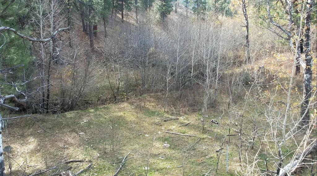 1 Tract, Bull Elk Drummond MT 59832