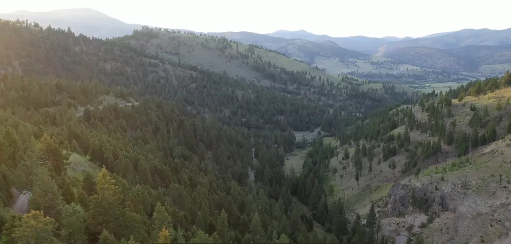1 Tract, Bull Elk Drummond MT 59832