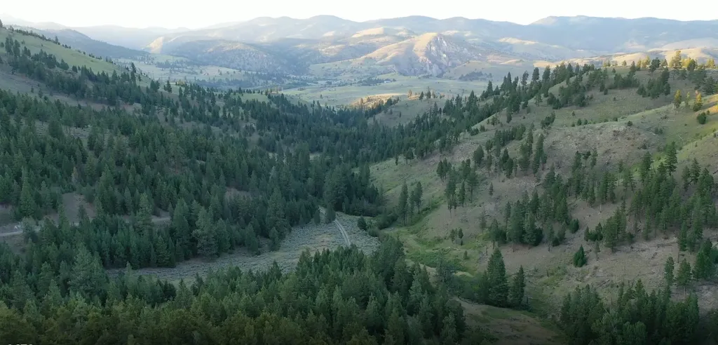 1 Tract, Bull Elk Drummond MT 59832