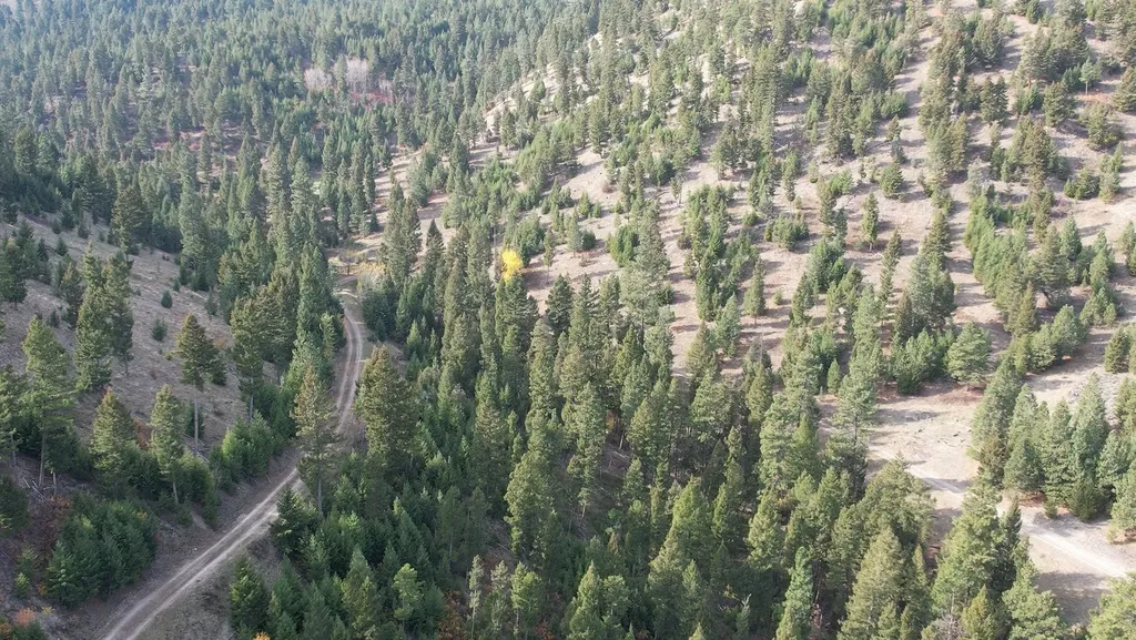 1 Tract, Bull Elk Drummond MT 59832