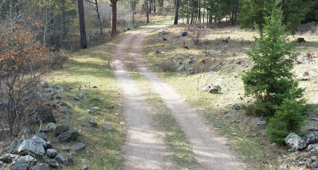 1 Tract, Bull Elk Drummond MT 59832