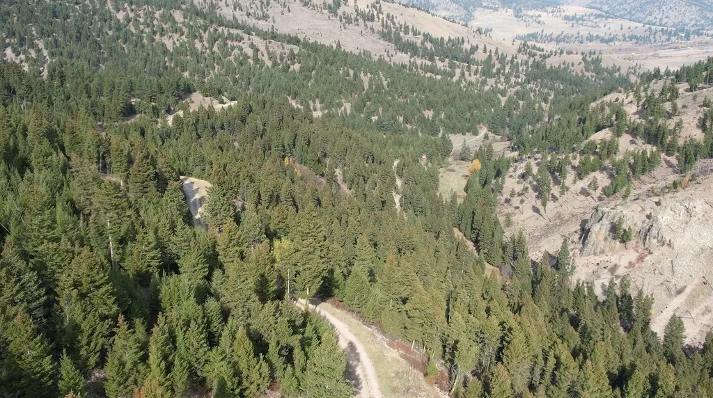 1 Tract, Bull Elk Drummond MT 59832