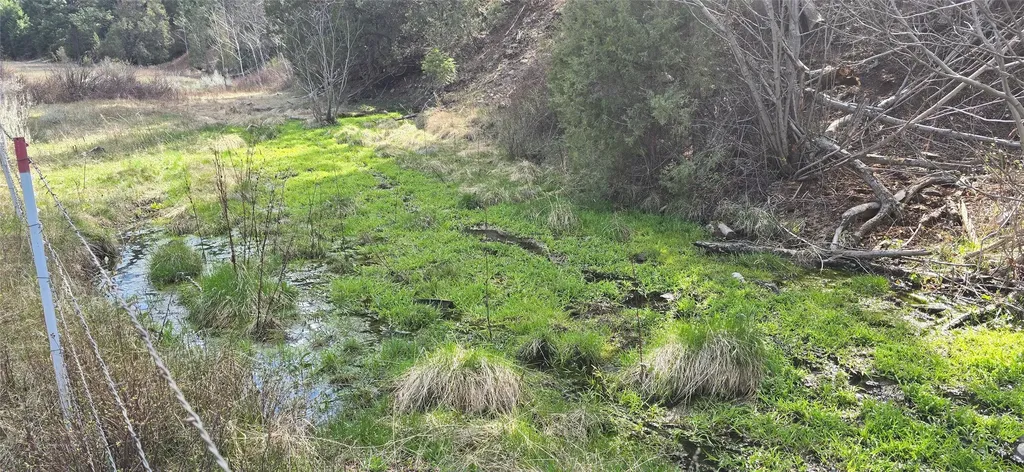 1 Tract, Bull Elk Drummond MT 59832
