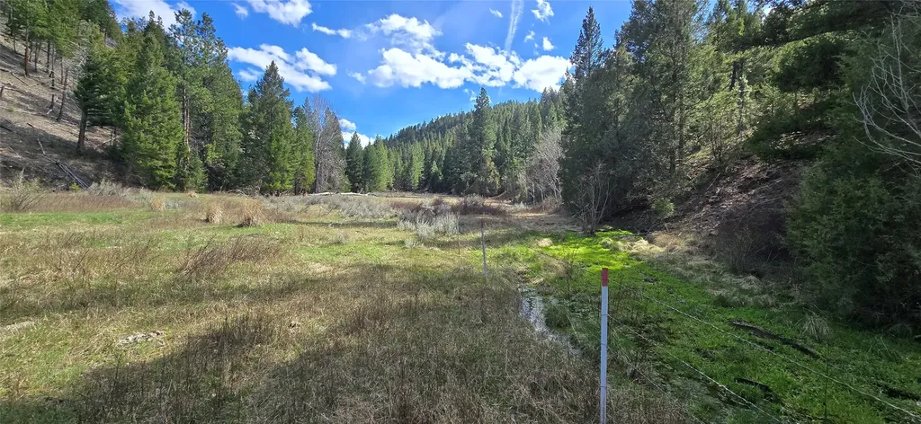 1 Tract, Bull Elk Drummond MT 59832