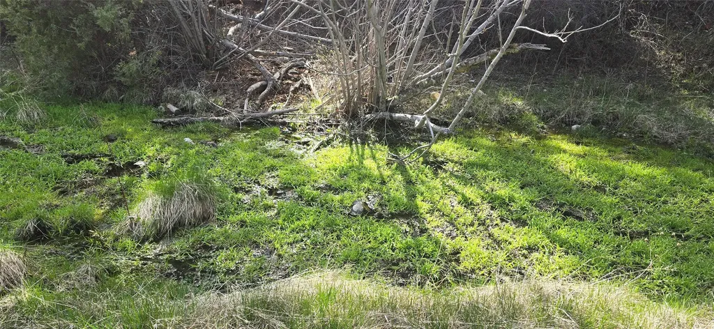 1 Tract, Bull Elk Drummond MT 59832